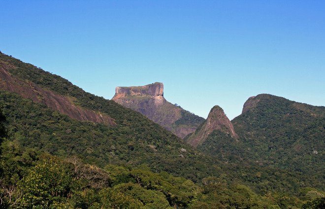 Ride through the Tijuca National Park rainforest in an open-top Jeep during this half-day trip from Rio, including a stop in the largest waterfall of the Forest, the Cascatinha de Taunay.