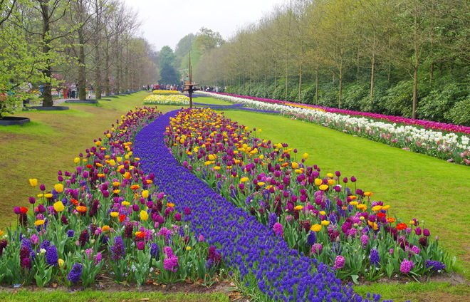 Be amazed at the famous Keukenhof, one of the world’s largest and most beautiful gardens. We will be visiting at an ideal time, spring, when over 7 million bulbs will be in bloom including an astonishing 800 varieties of tulips.