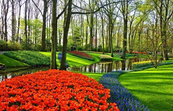 Netherlands-garden